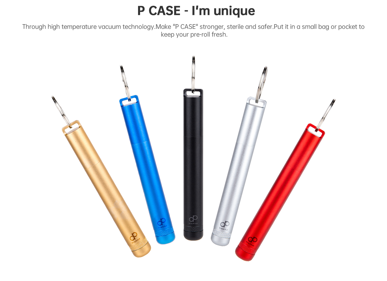 P-CASE-_05.jpg